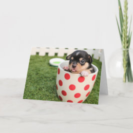 Cartão HAMbWG - Greeting Card - TeaCup Puppy