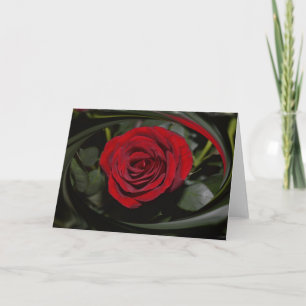 Cartão HAMbyWG - Greeting Card - Beautiful Red Rose