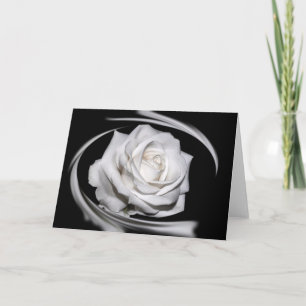 Cartão HAMbyWG - Greeting Card - Beautiful White Rose