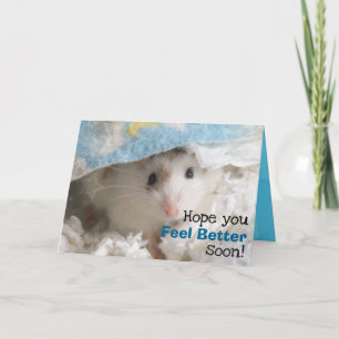 Cartão Hammyville - Cute Hamster Get Well Soon Card
