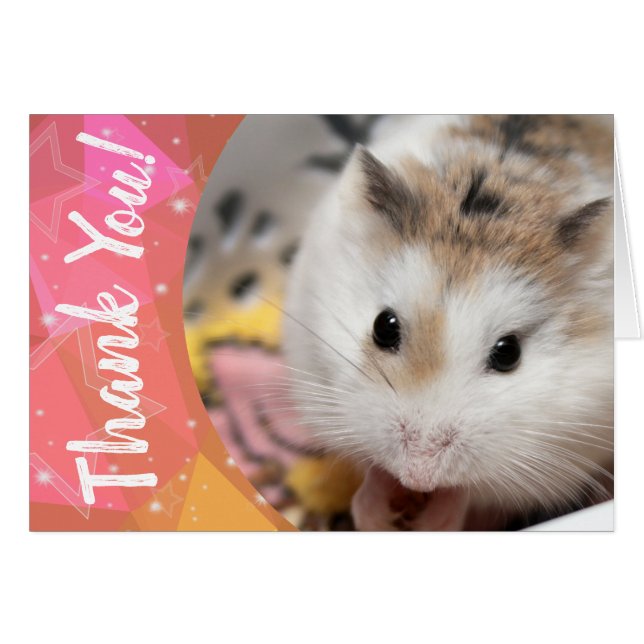 Cartão Hammyville - Hamster Bonito Obrigado (Frente Horizontal)