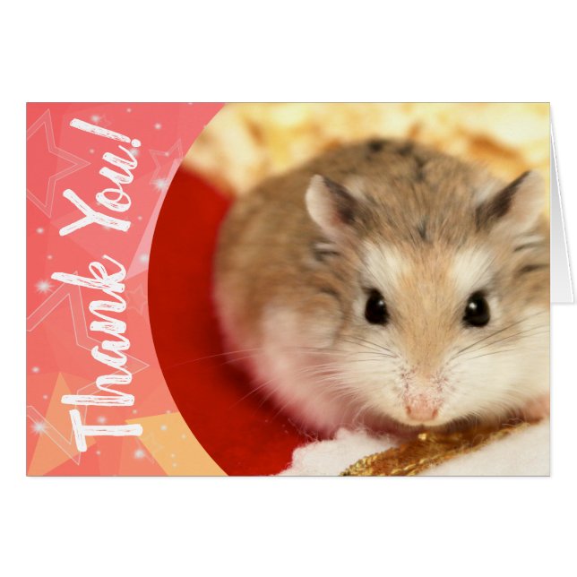 Cartão Hammyville - Hamster Bonito Obrigado (Frente Horizontal)