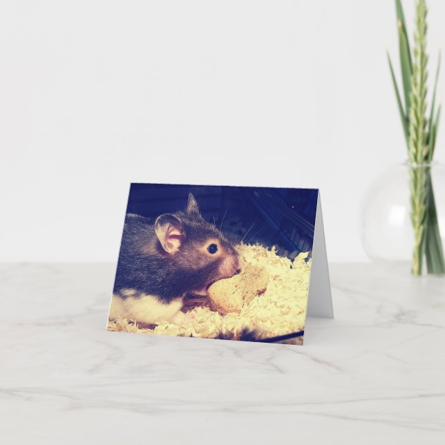 Cartão Hamster Fome (Frente)