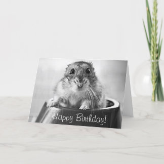 Cartão Hamster greeting card, happy birthday