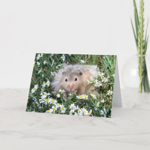 Cartão Hamster nas flores