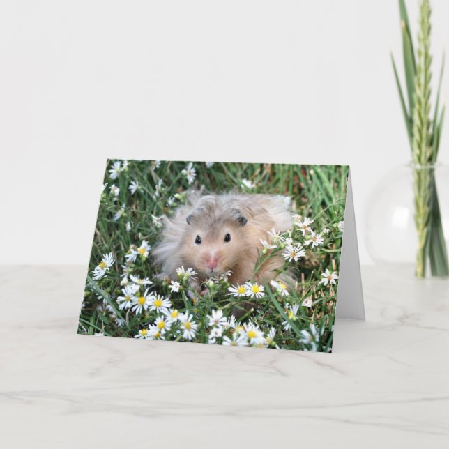 Cartão Hamster nas flores (Frente)