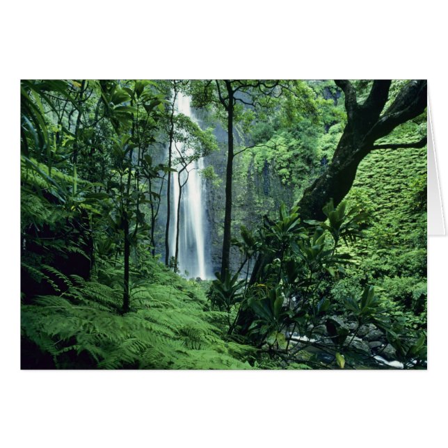Cartão Hanakapiai Falls ao longo da costa de Na Pali, Kau (Frente Horizontal)