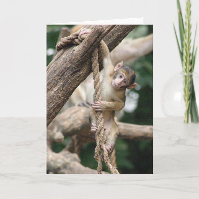 Cartão Hang in there (Frente)