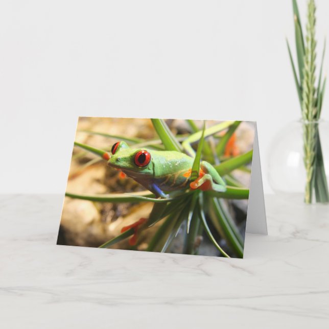 Cartão Hang in there! (Frente)