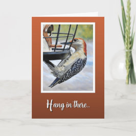 Cartão Hang in There - Birthday Card