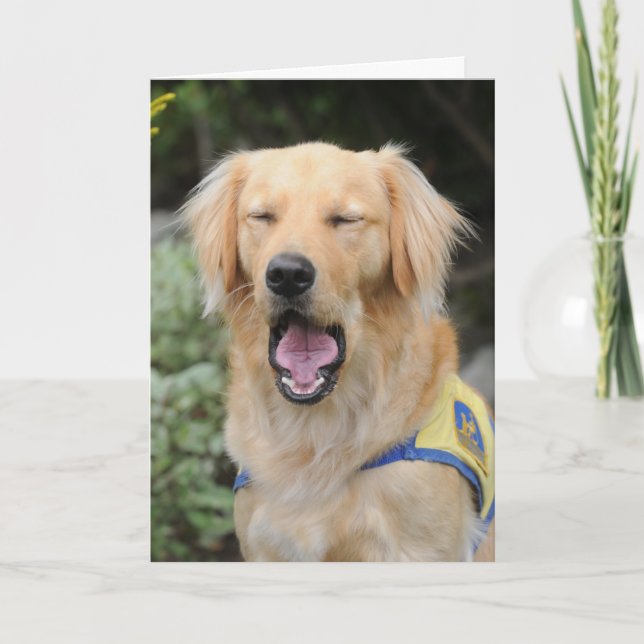 Cartão Hang in there Greeting Card (Frente)