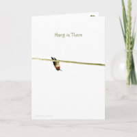 "Hang in There": Neighborhood is Roosting for You