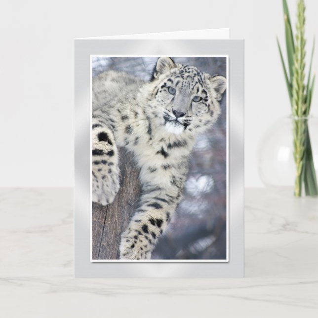 Cartão Hangin' Around....(w/border) (Frente)