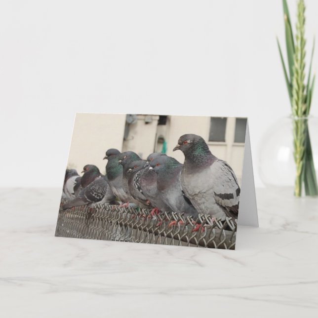 Cartão hanging with the boys (Frente)