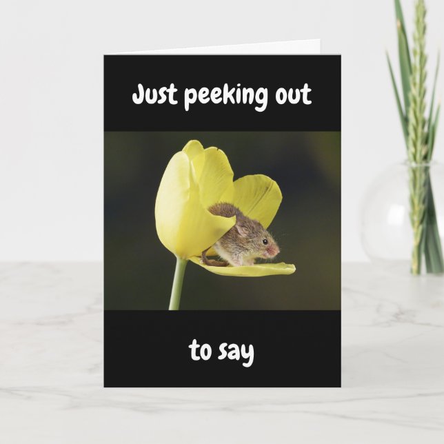 CARTÃO HAPPIEST OF "ALL" BIRTHDAYS WISHED TO "YOU" (Frente)