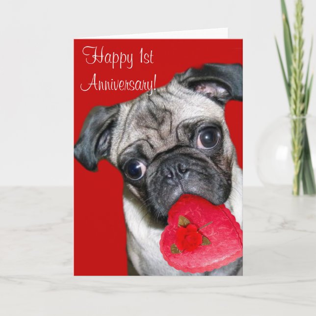 Cartão Happy 1st Anniversary pug greeting card (Frente)