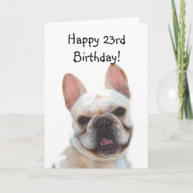 Cartão Happy 23rd Birthday French Bulldog Greeting Card (Frente)
