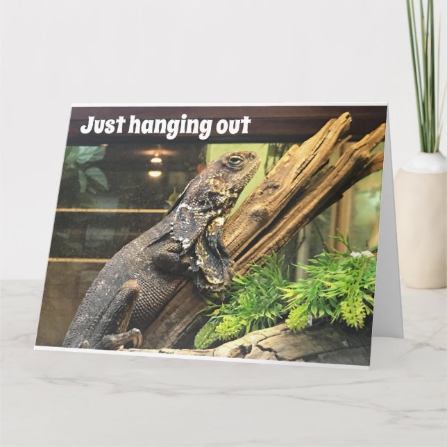 Cartão HAPPY "70th" BIRTHDAY TO MY "OLD SIBLING" (Frente)