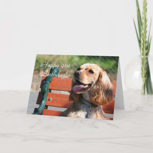 Cartão Happy 91st Birthday Cocker Spaniel Greeting Card (Frente)