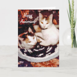 Cartão Happy Anniversary Cat Card