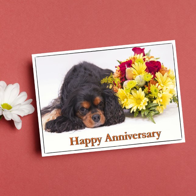 Cartão Happy Anniversary Cavalier King Charles Spaniel (Criador carregado)