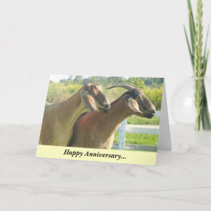 Cartão Happy Anniversary Goat/Kids