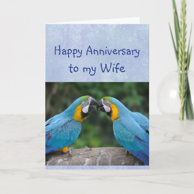 Cartão Happy Anniversary Parrot  Wife Love Card (Frente)