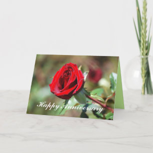 Cartão Happy Anniversary Romantic Red Rose Card