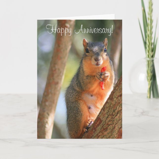 Cartão Happy Anniversary Squirrel Greeting Card (Frente)