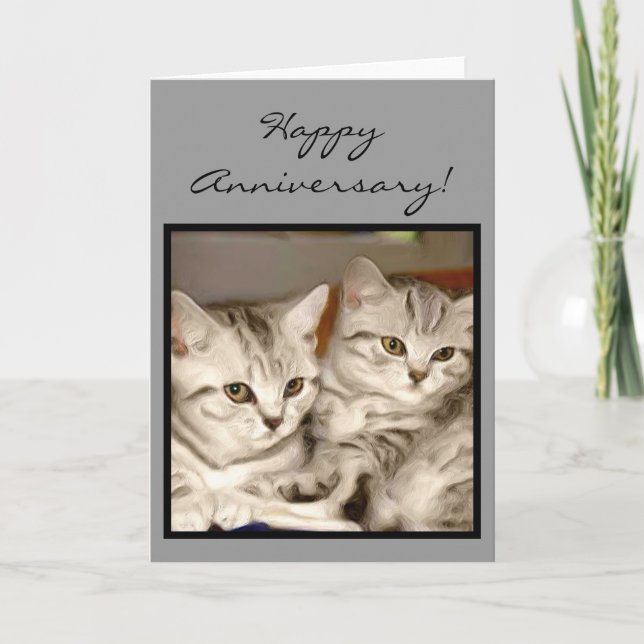 Cartão Happy Anniversary Tabby Kittens greeting card (Frente)