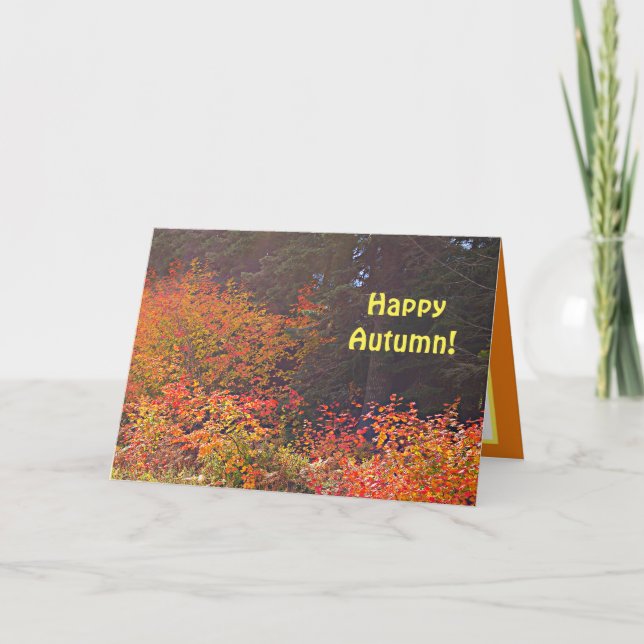 Cartão Happy Autumn Card, Pretty Fall Trees Greeting (Frente)