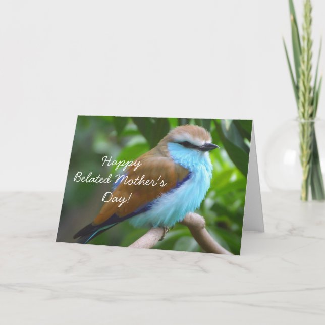 Cartão Happy Belated Mother's Day Beautiful bird card (Frente)