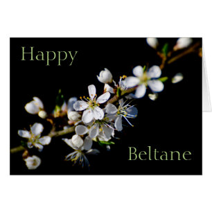 Cartão Happy Beltane (flor de primavera)