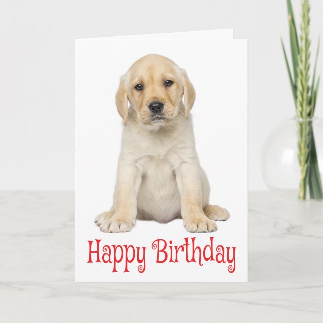 Cartão Happy Birthda Yellow Labrador Retriever Puppy Dog (Frente)
