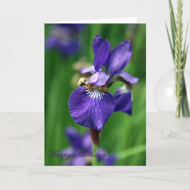 Cartão Happy Birthday (Frente)