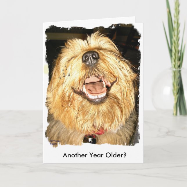 Cartão Happy Birthday (Frente)