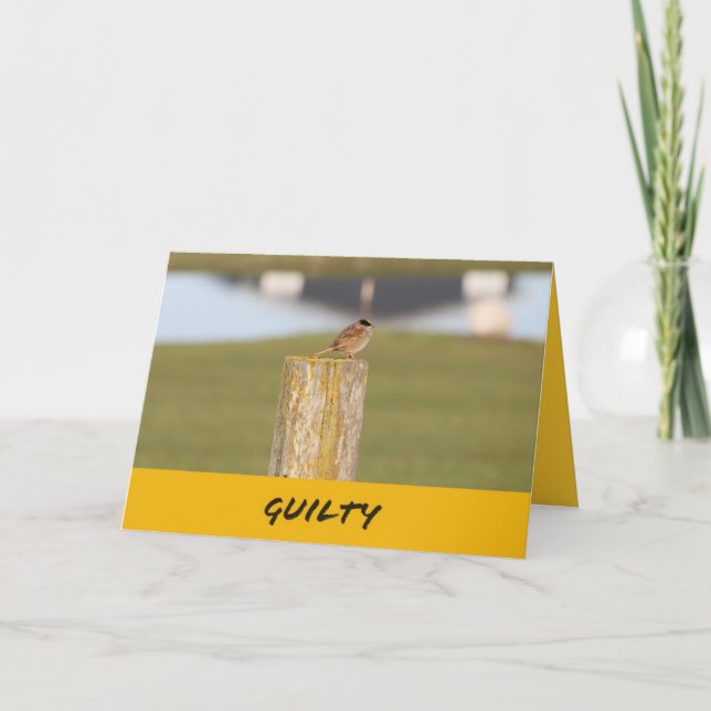 Cartão Happy Birthday A Bird Told Me It is your birthday (Frente)