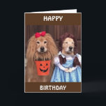 CARTÃO **HAPPY BIRTHDAY** ALL DRESSED UP FOR "YOU"<br><div class="desc">"ALL BIRTHDAYS" ARE "SPECIAL" AND I TRY REALLY HARD TO MAKE MY CARDS "JUST AS SPECIAL" AS THE PERSON RECEIVING THEM" SO THANKS FOR STOPPING BY 1 OF MY 8 STORES AND HAVE A "GREAT DAY!"</div>