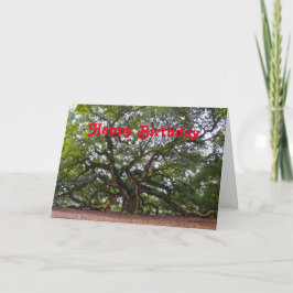 Cartão Happy Birthday Angel Oak Carolina do Sul