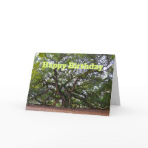 Happy Birthday Angel Oak Carolina do Sul