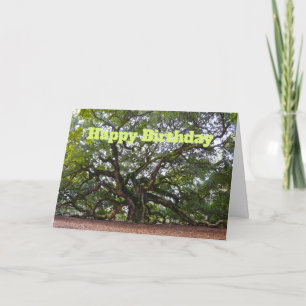 Cartão Happy Birthday Angel Oak Carolina do Sul