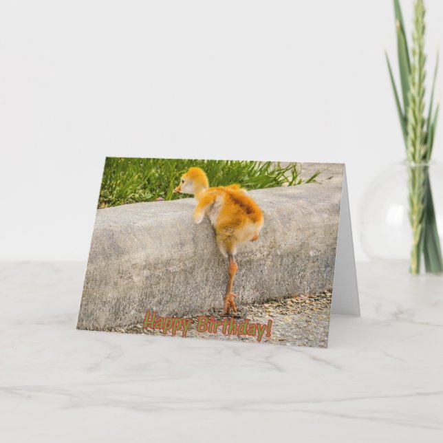 Cartão HAPPY BIRTHDAY Baby Bird (Frente)