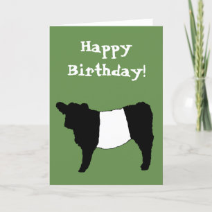 Cartão Happy Birthday Beltie Belted Galloway Steer Cattle