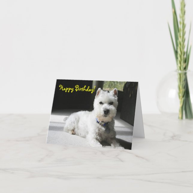 Cartão Happy Birthday, Blank, Mini Schnauzer (Frente)