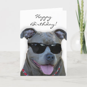 Cartão Happy Birthday Blue pitbull with glasses card