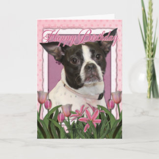 Cartão Happy Birthday - Boston & Rat Terrier - Jazy