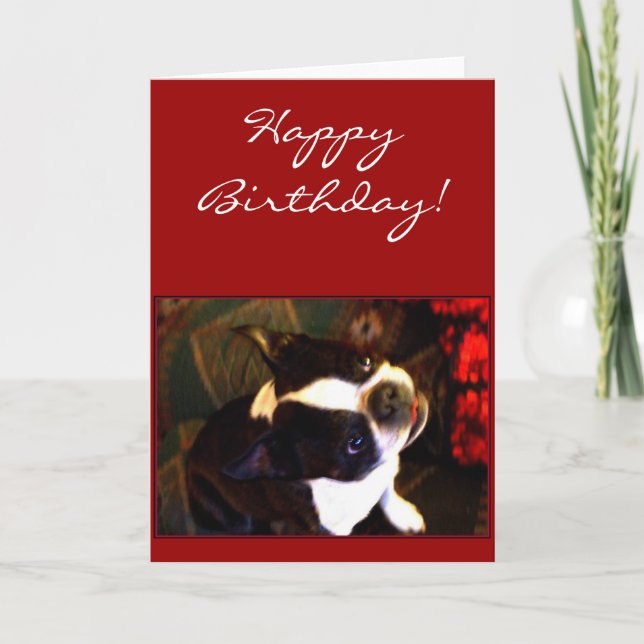 Cartão Happy Birthday Boston Terrier greeting card (Frente)