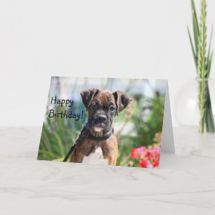 Cartão Happy Birthday Boxer Greeting card