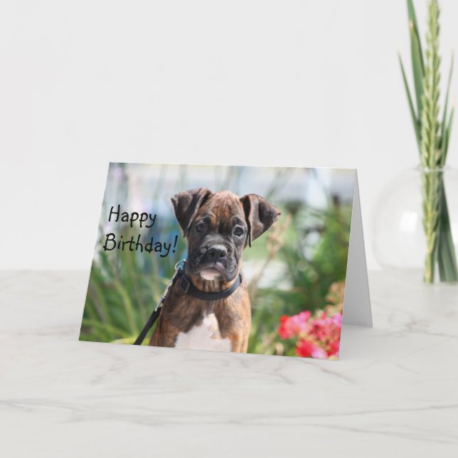 Cartão Happy Birthday Boxer Greeting card (Frente)