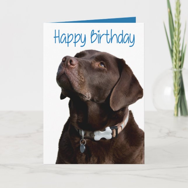 Cartão Happy Birthday Brown Labrador Retriever Puppy Card (Frente)